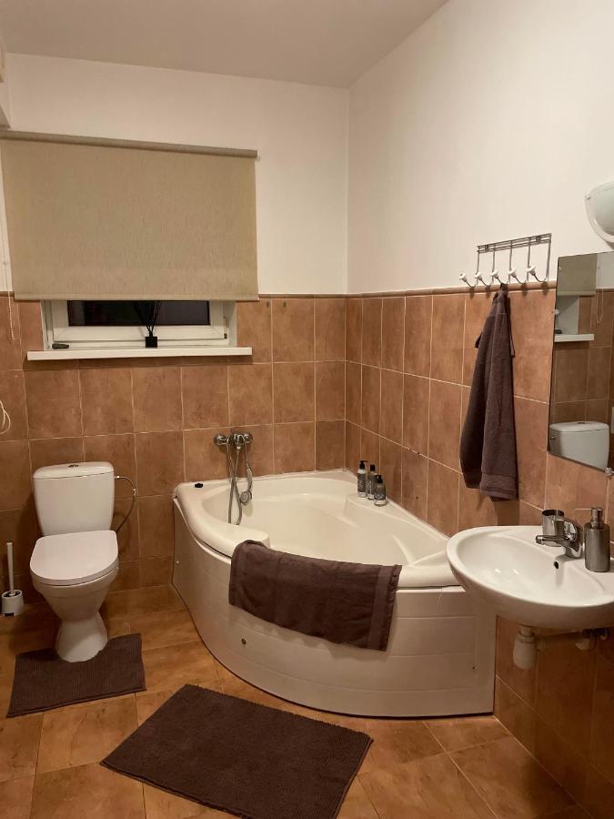 Studio Apartamenti Cesis Bagian luar foto