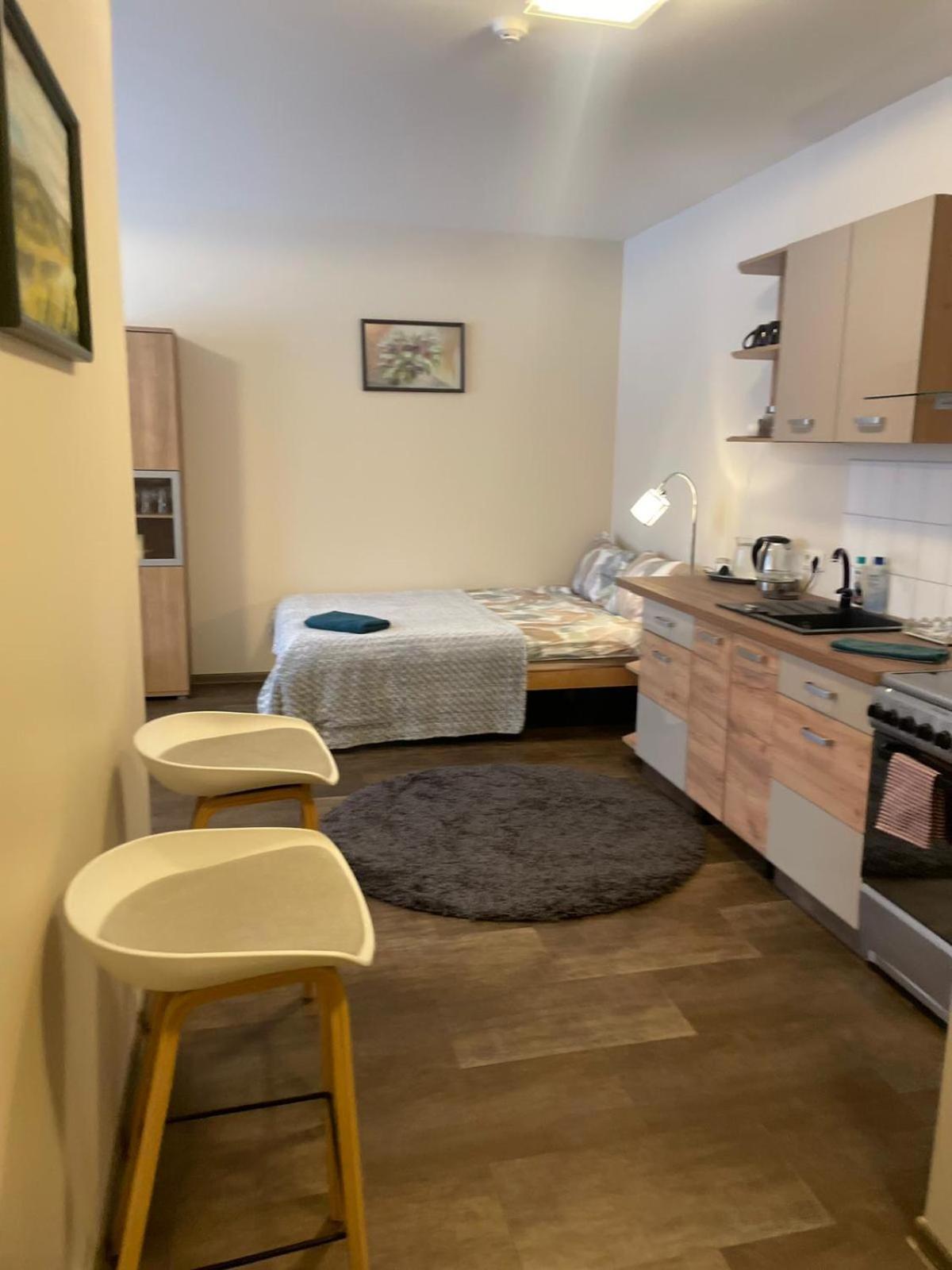 Studio Apartamenti Cesis Bagian luar foto